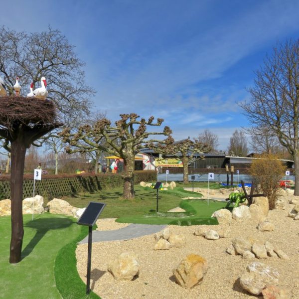 Bahn-3-Störche_JPG-1030x773